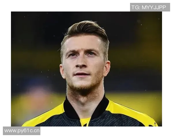 罗伊斯加盟德甲球队的贡献与未来展望